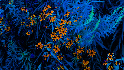 Orange and Blue