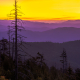 Good Morning from Clingman's Dome