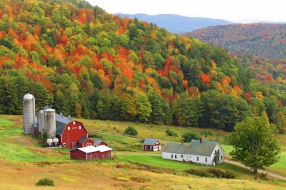 2020fallcontest