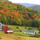2020fallcontest