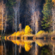 Ural autumn