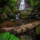 Dill Falls 