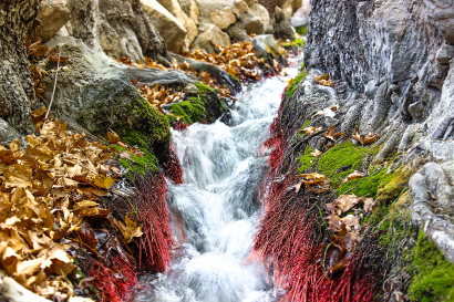 Estahban waterfall in golden a...
