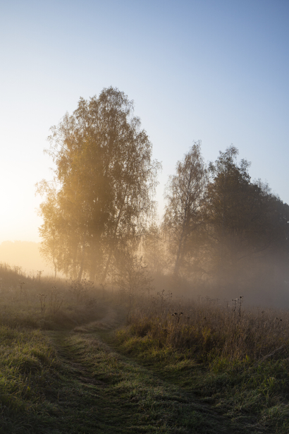 Morning fall
