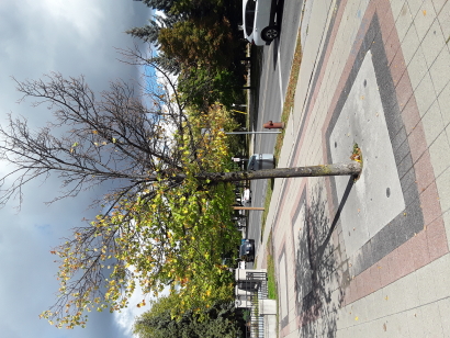 Beautiful autumn