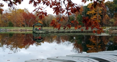 2020fallcontest2