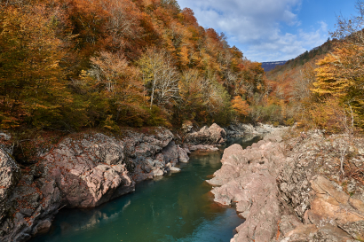 2020fallcontest