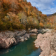 2020fallcontest