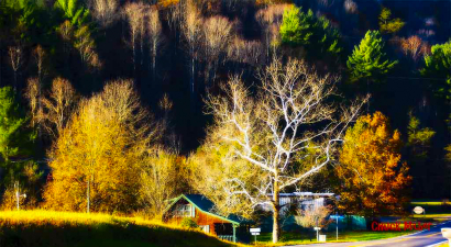New England Fall