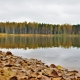Осенний лес 