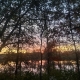 Lake Shadows