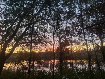 Lake Shadows