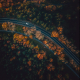 Road to the autumn