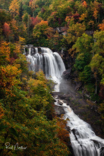 Whitewater Falls