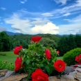 red-white-blue