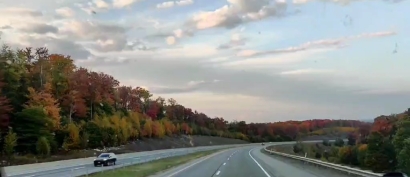 Autumn ROAD