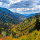 Autumn in the Smoky's
