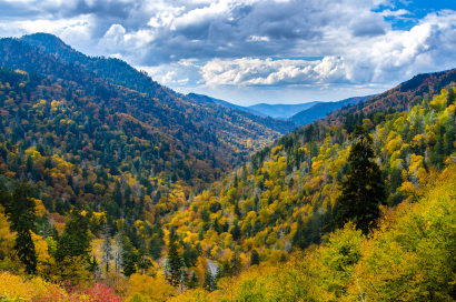 Autumn in the Smoky's