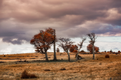 Patagonia Chile