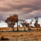Patagonia Chile
