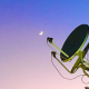 Communicating with the inhabitants of moon