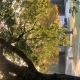 Fall photo