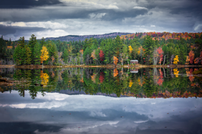 Mirror Reflection