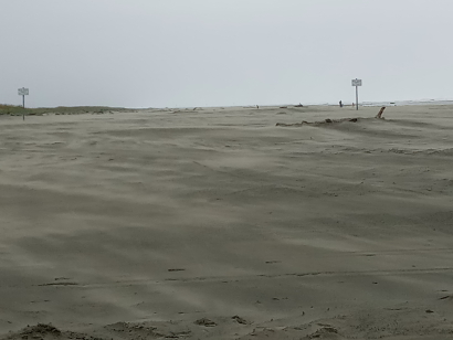Dancing Sands