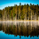Morning Reflection