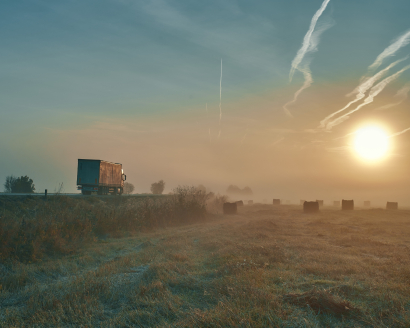 Foggy morning