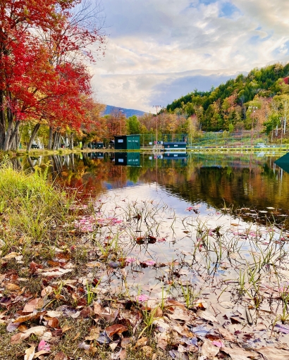 Autumn Splendor