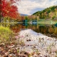 Autumn Splendor 