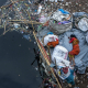 A Plastic Refuge