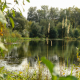 Pond in the autumn forest