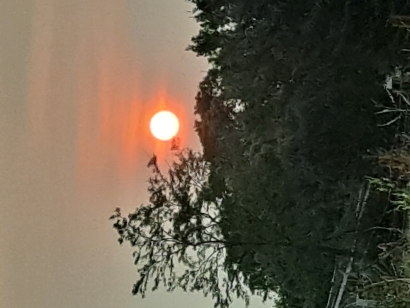Red sun