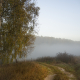 Morning fall 