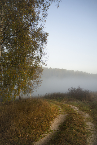 Morning fall