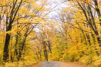 End of Fall