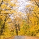 End of Fall