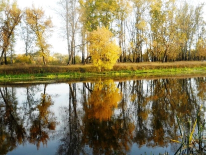 Golden autumn
