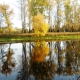 Golden autumn