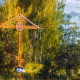 Cross and forest