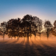2020fallcontest 1  autumn fog