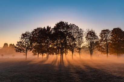 2020fallcontest 1  autumn fog