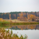 Autumn at the lake