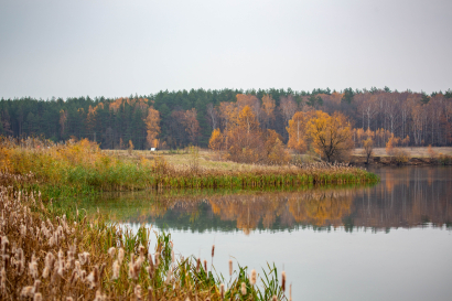 Autumn at the lake