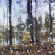 2020fallcontest