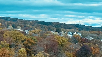 Fall Foliage