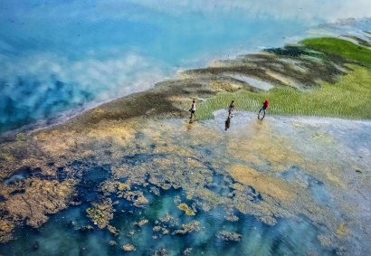 Land water and air 