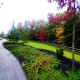 Autumn Outing